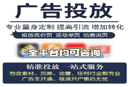 某某sem推广公司在某行业的应用与效果分析